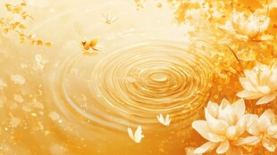 金韵荷塘 灵动水中景