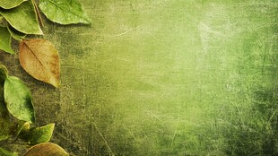 绿叶斑驳背景图