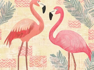 双火烈鸟的热带风情插画