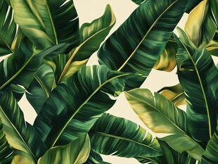 热带芭蕉叶植物背景图案