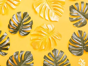 黄色背景上的龟背竹叶图案