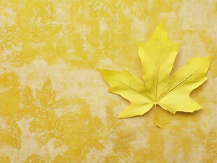 金黄枫叶点缀复古背景