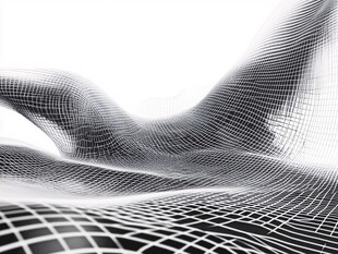 黑白网格抽象动感线条图