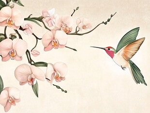 蜂鸟戏娇兰