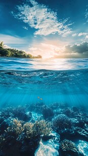 海底与海面的梦幻风光