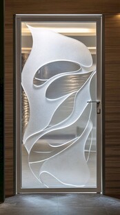 艺术玻璃门 独特现代设计