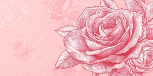 粉色玫瑰手绘背景图