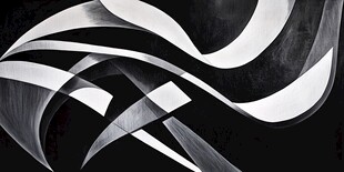 黑白抽象曲线艺术图案