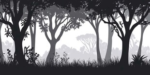 黑白森林剪影景观