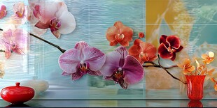 多彩蝴蝶兰装点精致空间