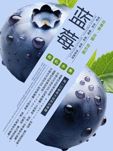 蓝莓海报广告