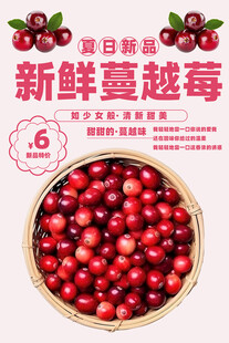 蔓越莓