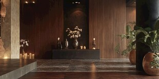 木质雅致室内空间场景