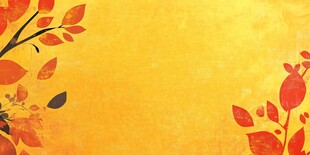 金秋树叶背景图