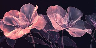 梦幻透明花卉艺术插画