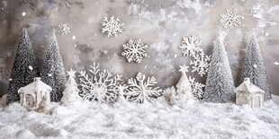 冬日雪景圣诞装饰场景