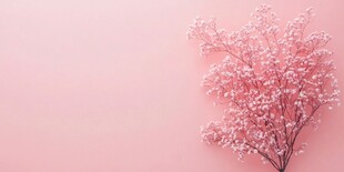 粉色背景上的梦幻花枝