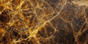 奢华金色大理石纹理背景