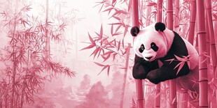 粉竹林中的可爱大熊猫
