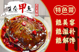 特色菜 海报 甲鱼 高清