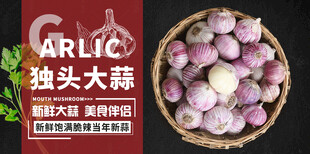 独头大蒜