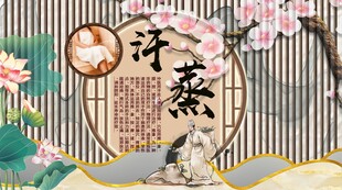 汗蒸背景墙