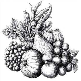 手绘蔬果集合图