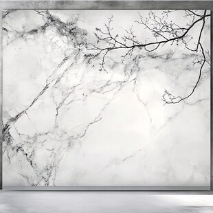 大理石背景墙与枯枝装饰