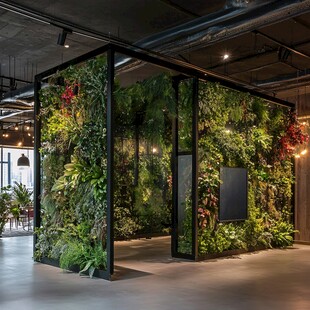 室内绿植墙打造自然空间