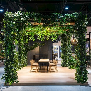 室内绿植环绕的温馨用餐区