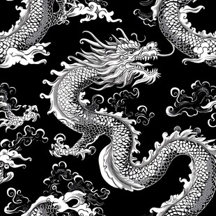 黑白龙纹图案设计