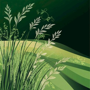 绿色田野中的清新植物