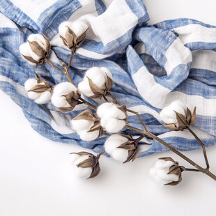 蓝白条纹布上的棉花枝