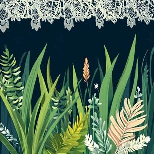 蕾丝边下的清新植物景观