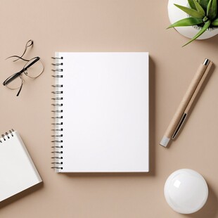 简约桌面文具与绿植组合