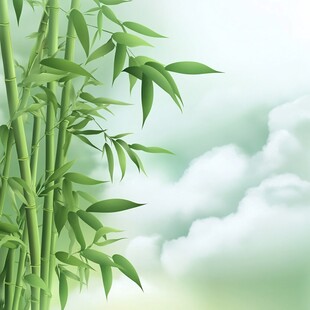清新翠竹伴云端美景