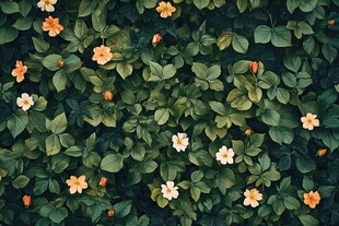 绿叶间绽放的多彩小花