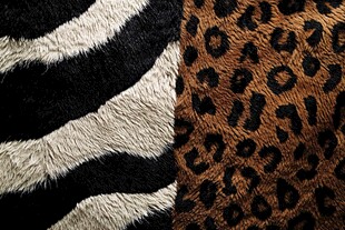 斑马纹与豹纹毛绒面料