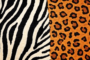 斑马纹豹纹动物纹理面料