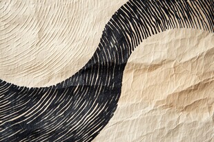 褶皱纸上的黑白线条图案