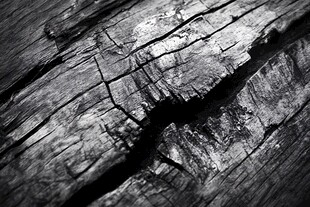 老旧木头的纹理细节