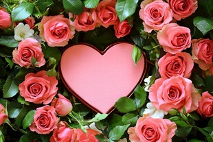 心型玫瑰 浪漫花卉景致