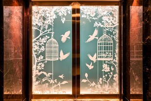 雕花玻璃门 灵动鸟笼图案