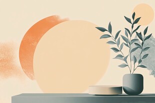 简约静物 盆栽与柔和背景