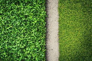 两种绿植间的砂石小径