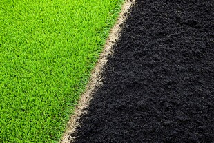 绿草与黑土的鲜明对比