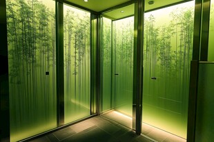 森林主题电梯内部景观