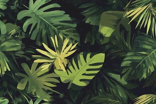 热带植物叶的繁茂景象