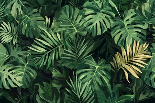 热带绿植背景图