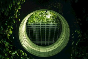 圆形孔洞外的绿意生机